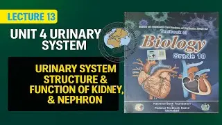 📚 Class 10 Biology | Unit 4: Urinary System | Lecture by Dr. Madiha | Nation Book Foundation