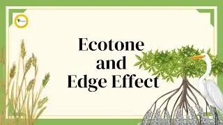 Ecotone and Edge Effect