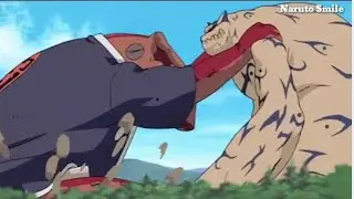 Sasuke was Shocked to See Gamabunta| Gamabunta vs Shukaku English Dubbed