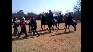 Equestrian Unit demonstrates crowd control.