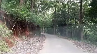 Rosemala road
