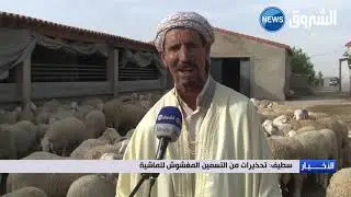 #سطيف | تحذيرات من التسمين المغشوش للماشية