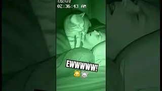 When it&rsquo;s 2AM and your cat decides your mouth is the perfect spot for a gift 🐱💀 #catlogic