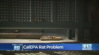 CalEPA Not 