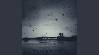 Weather the Storm