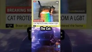Someone said Nyan cat 🗿 #meme #memes #funny #cat
