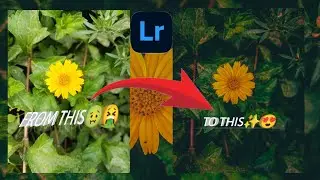 how to add dark moody yellow tone in in your photos.in Lightroom/#photography #mobilephotography