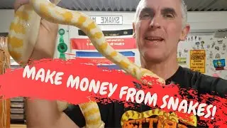 MAKE MONEY FROM SNAKES - CrittaCam