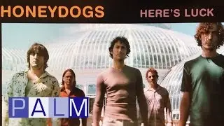 Honeydogs: Wilson Boulevard
