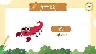 MKLC Radio [벌레와 곤충 Part 1]