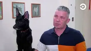Ушки на макушке 6