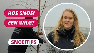Hoe snoei je wilgen? | SnoeiTips #21