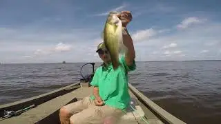Shut Up And Fish !