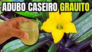 Este Adubo Caseiro faz sua planta crescer e florir 2X mais r&aacute;pido