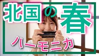 【北国の春】複音ハーモニカ　春が待ち遠しい　逢える日が来ますように♪