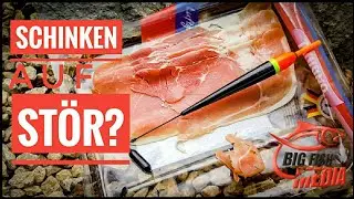 Mit Schinken auf Stör - geht das? Gregor und Ewald wollen's wissen