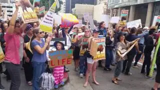 NO DAPL gathering in LA, 3 - X (Global Voices for Justice)