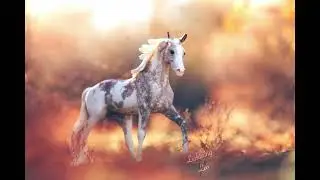Breyer Model Horse Photography 2023