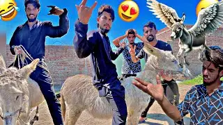 2Lakh Ka Flying Donkey 🫏 ly lia Ali ny😱🤣#petsvlog
