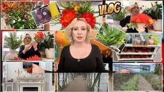 VLOG: КАК НАЙТИ ПРОБЛЕМУ ТАМ, ГДЕ ЕЕ НЕТ И СРОЧНО КИНУТЬСЯ РЕШАТЬ🤣// ОБНОВЛЕНИЕ ИНТНРЬЕРА 💐