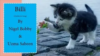Billi by Nigel Bobby & Uzma Sabeen | NB Productions | Afnan| Myron | Zeeshan | Cat