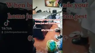 #bedbugscontrol #cockroachcontrol