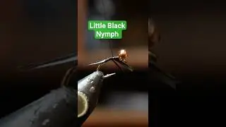 Tying the little black nymph winter steelhead fly #flytying #fishingadventures #steelhead #flies