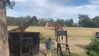 Mogo zoo