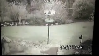 Solar powered Motion Activated Animal Repeller