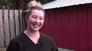 CWC Wildlife Care Internships