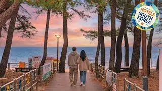 Gangneng badapunggeong Pension | Gangneung-si, South Korea | Hotel Review 🛏️