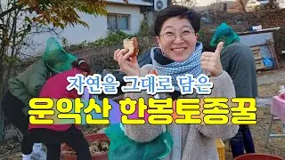 청정한 자연을 그대로 담은 운악산 토종 한봉꿀