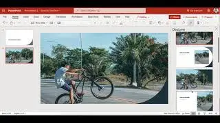 Insert a Picture | MS Powerpoint 2019