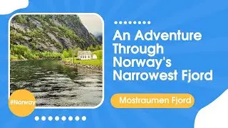 Mostraumen fjord cruise: A day trip from Bergen