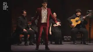 Juan Tomás de la Molía | Presente | Festival de Jerez