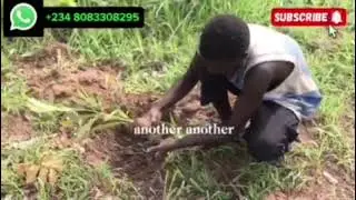 farm supervisor