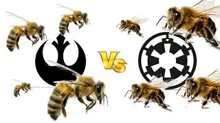 Welcome to my channel 2.0 Beekeeping
