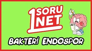 Bakteri Endospor /85/7 / TYT Biyoloji