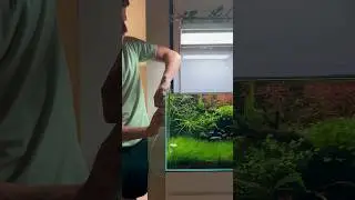 Cleaning the diffuser and outflow head. #aquarium #aquascape #plantedtank #youtubeshorts
