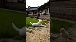 &ldquo;White Jindo Puppy and Chick in a Traditional Korean Hanok Garden 🌿🐶🐥&rdquo;