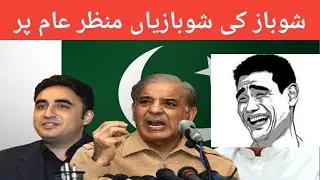 Showbaz ki showbazi, funny Politics, Petrol Sasta bubble vines