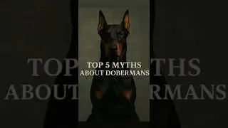 Top 5 Myths About Dobermans #dog #dogshorts