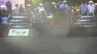 Jesse Torkelson 83 on R Saga's 74 Abu. Lashburn, SK (PBR) '13