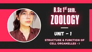 Lec - 7 || (CAMs)Cell Adhesion Molecules || B.Sc 1 sem || Zoology || with NOTES