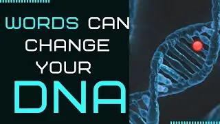Words Effect on our DNA - Our bodies are programmable  - Scientific Discovery on Junk DNA Healing