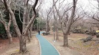 [4K] Walking Tour in Jeju Park, Korea 🌿 | Quiet Nature Walk