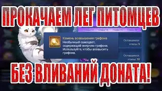 НЕДЕЛЯ ФАРМА ПИТОМЦЕВ! Mobile Legends: Adventure