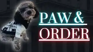 UNITED REALTY GROUP | LAW & ORDER PARODY | 80'S TV SHOW OPENING CREDITS | PLANTATION FL REAL ESTATE