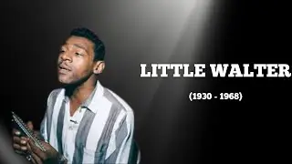 The Rise and Tragic Fall of Little Walter The Man Behind the Electric Harmonica