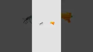 mosquito chato
